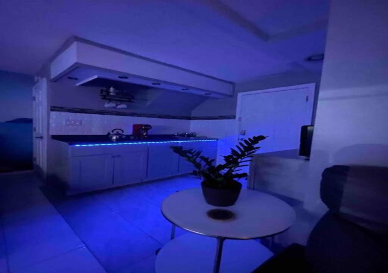 Brooklyn Luxury Spring Retreat With Private Outdoor Space New York Kültér fotó